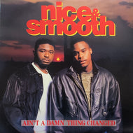 NICE & SMOOTH / AINT A DAMN THING CHANGED