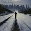 NITIN SAWHNEY / PROPHESY