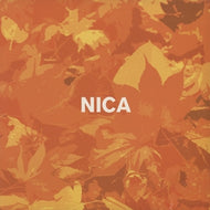 NICA / NICA'S DREAM