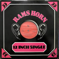 NEW YORK RAPPERS / GET DOWN ON IT RAP