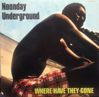 NOONDAY UNDERGROUND / WHERE HAVE THEY GONE – TICRO MARKET