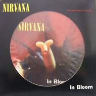 NIRVANA / IN BLOOM