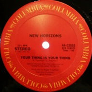 NEW HORIZONS / YOUR THING IS YOUR THING