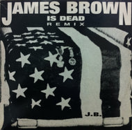 N.Y. STYLE / JAMES BROWN IS DEAD REMIX