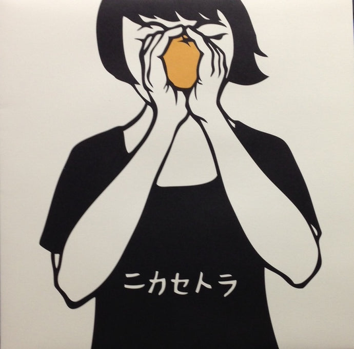 二階堂和美 ニカセトラ LP アナログレコード盤 二階堂和美 / ニカセトラ – TICRO MARKET