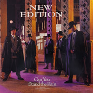 NEW EDITION / CAN YOU STAND THE RAIN (EXTENDED VERSION)