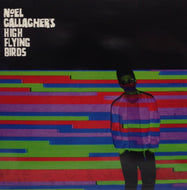 NOEL GALLAGHER'S HIGH FLYING BIRDS / IN THE HEAT OF THE MOMENT REMIXES