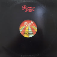 NICK STRAKER BAND / A LITTLE BIT OF JAZZ