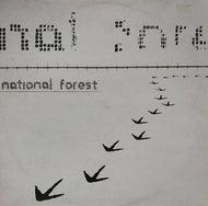 NATION FOREST / SODA LAKE