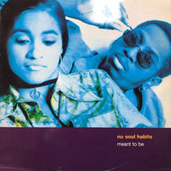 NU SOUL HABITS / MEANT TO BE