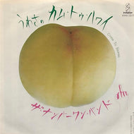 ナンバーワン・バンド NUMBER ONE BAND / うわさのカム・トゥ・ハワイ