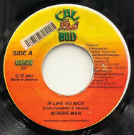 NORRIS MAN / If Life So Nice