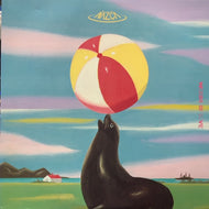 NAZCA / Words Of Love