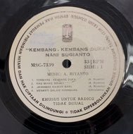 NANI SUGIANTO / Kembang Kembang Duka