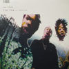NEW FLESH / LIE LOW