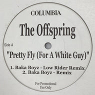 OFFSPRING / PRETTY FLY (FOR A WHITE GUY)