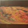 ORANGER / THE QUIETVIBRATIONLAND