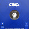 OPAZ FEAT. RAY HAYDEN / HAVE YOU SEEN HER