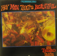 ONE THOUSAND VIOLINS / HEY MAN THAT'S BEAUTIFUL