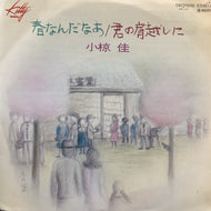 小椋佳 / 春なんだなあ
