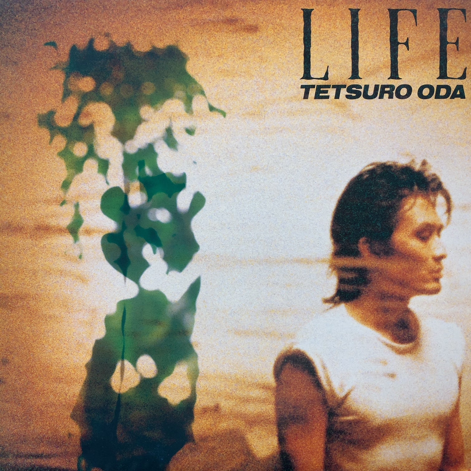 織田哲郎 / Life