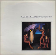 PENGUIN CAFE ORCHESTRA / BROADCASTING FROM HOME