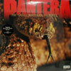 PANTERA / THE GREAT SOUTHERN TRENDKILL