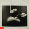 PETER FISH / THE SILVER APPLE