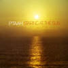 P'TAAH / STARING AT THE SUN