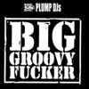 PLUMP DJS / BIG GROOVY FUCKER