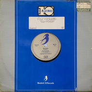 PAUL HARDCASTLE / RAIN FOREST
