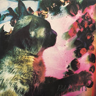 PALE SAINTS / The Comforts Of Madness
