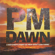 PM DAWN / A Watcher's Point Of View (Don't Cha Think)