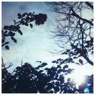 PILLOW / FLOWING SEASONS