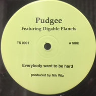 PUDGEE / EVERYBODY WANT TO BE HARD / INNER CITY BLUES
