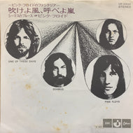 PINK FLOYD / 吹けよ風、呼べよ嵐 (One Of These Days)黒盤