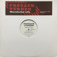 PROZACK TURNER / WONDERFUL LIFE