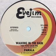 PAMALA STANLEY / WALKING IN THE RAIN (YES YOU SAW ME)