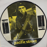 PALE FOUNTAINS / Pacific Street Picture Disc