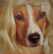 PAUL LEARY / The History Of Dogs