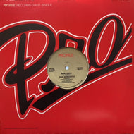 PAUL HARDCASTLE / RAIN FOREST (REISSUE)