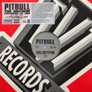 PITBULL / The Anthem / Secret Admirer