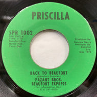 PAZANT BROS. & THE BEAUFORT EXPRESS / Back To Beaufort / Water Front Blues