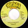 PERFECT / MARK OF THE BEAST