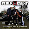 PUBLIC ENEMY / REBIRTH OF A NATION