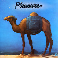 PLEASURE / DUST YOURSELF OFF