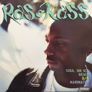 RAS KASS / SOUL ON ICE REMIX