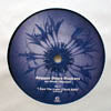 REGGAE DISCO ROCKERS / I SAW THE LIGHT