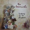 RAINCOATS / LOOKING IN THE SHADOWS