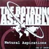 ROTATING ASSEMBLY / NATURAL ASPIRATIONS VINYL VER. PT.2